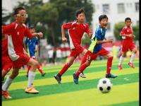 青岛西海岸VS辽宁铁人农商银行直播_青岛西海岸VS辽宁铁人农商银行直播高清流畅无插件免费_青岛西海岸VS辽宁铁人农商银行直播数据实时更新